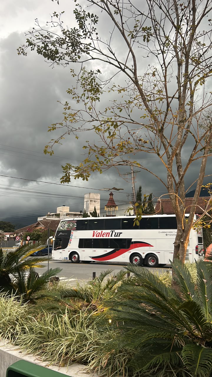Bus de turismo utilizado para transporte de grupos